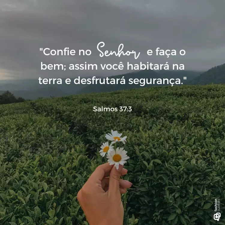 Imagem ilustrativa do versículo bíblico Romanos 8:28, que afirma que 'todas as coisas cooperam para o bem'. Uma poderosa palavra de avivamento e esperança, fortalecendo a fé e a renovação espiritual.